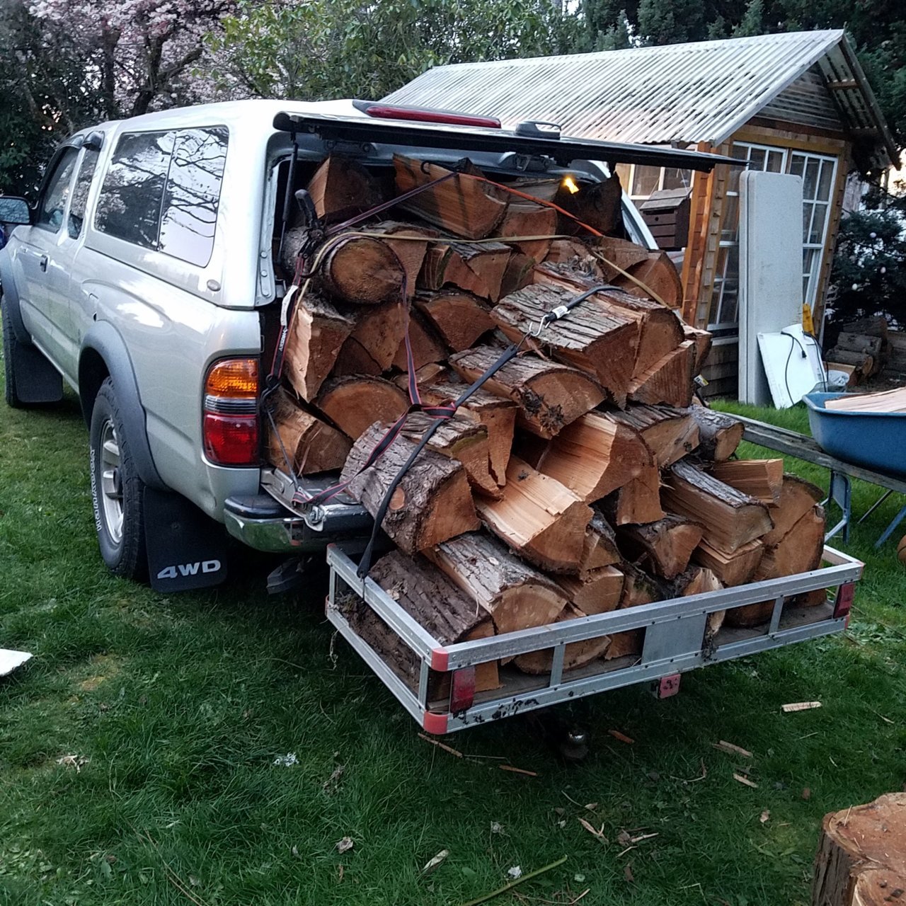 Tacoma wood.jpg