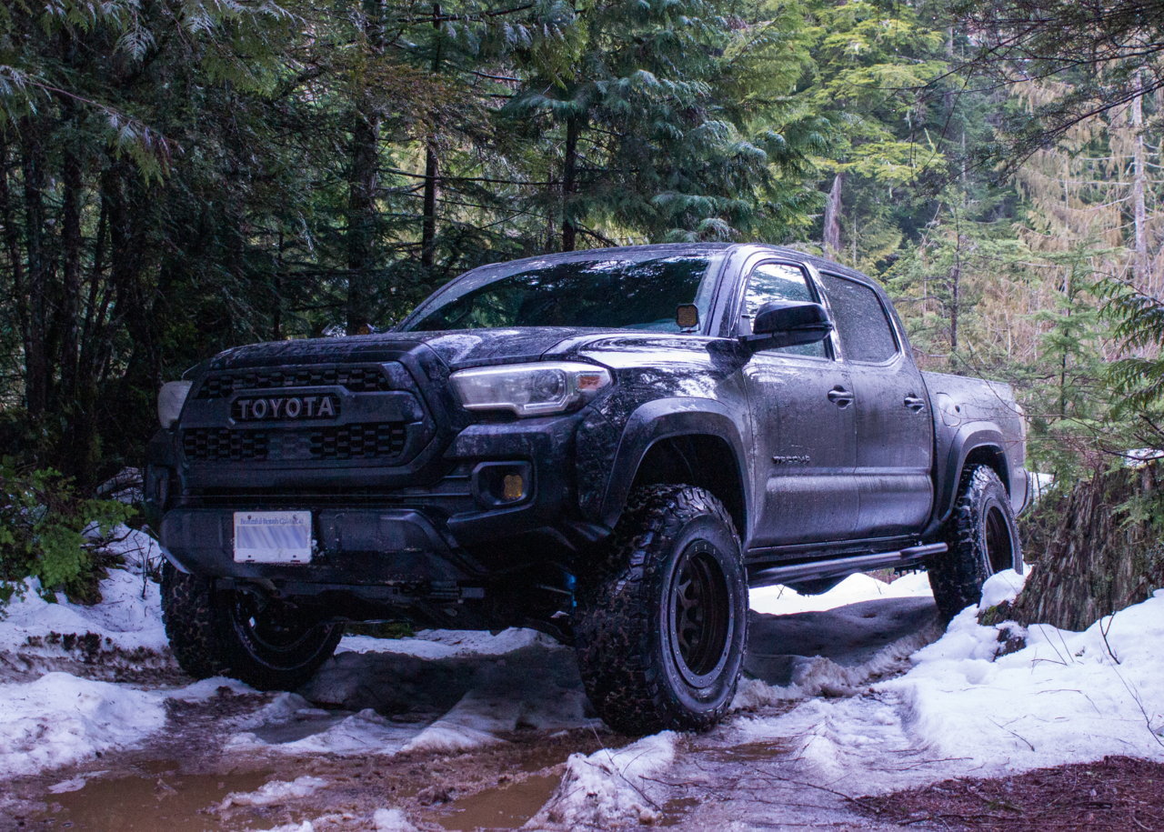Tacoma World 1.jpg
