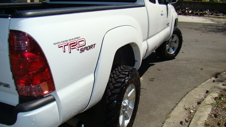 tacoma1.jpg