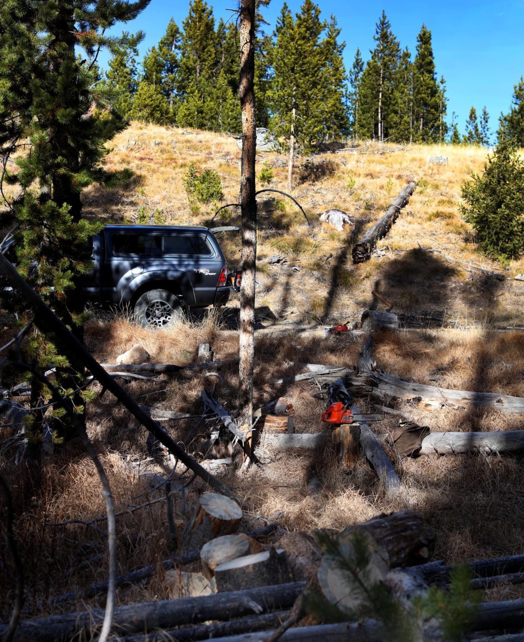 Tacoma_Challis NF_ID_9_2020.jpg