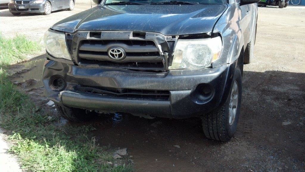 Tacoma_Deer_LR.jpg