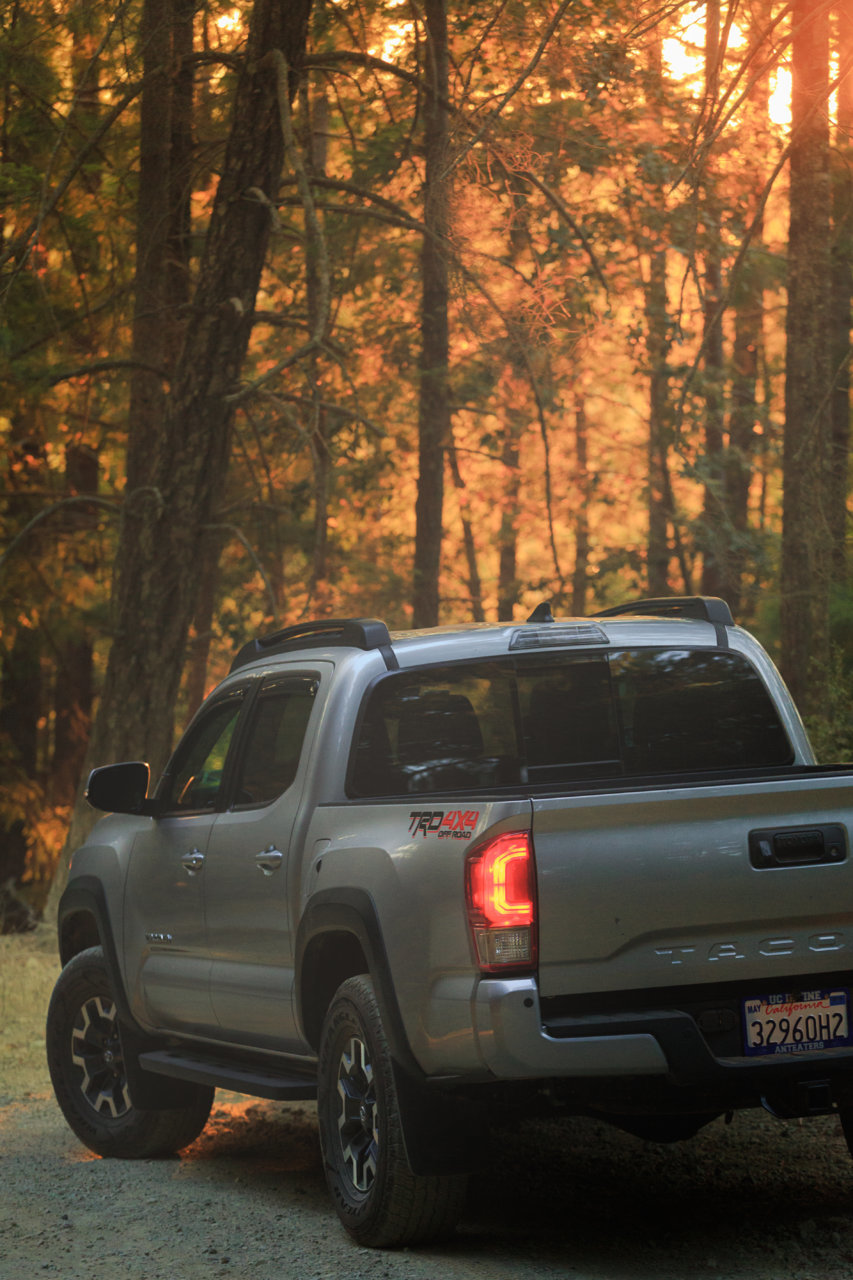 Tacoma_Mattole_Road_v1 08.04.2018.jpg