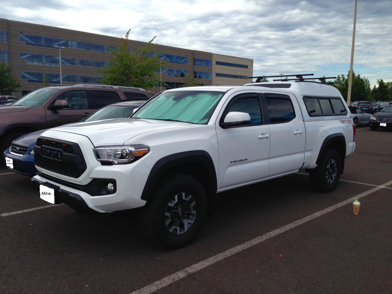 tacoma_mx_shel.jpg
