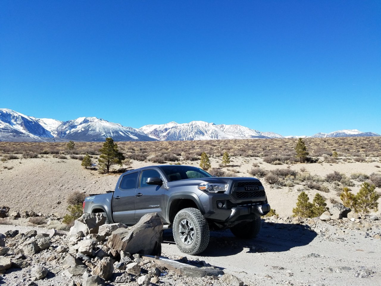 Tacoma_no_plate.jpg