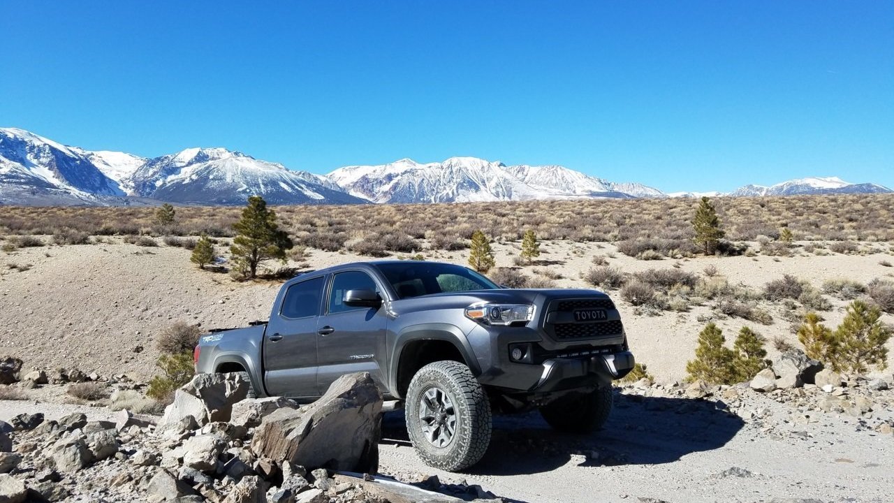 Tacoma_no_plate.jpg
