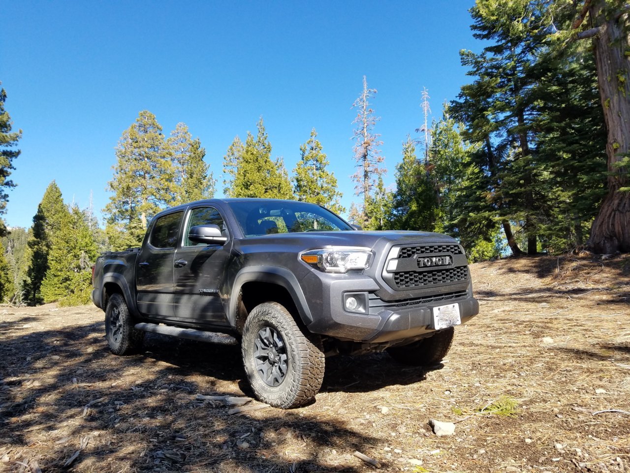 Tacoma_no_plate2.jpg
