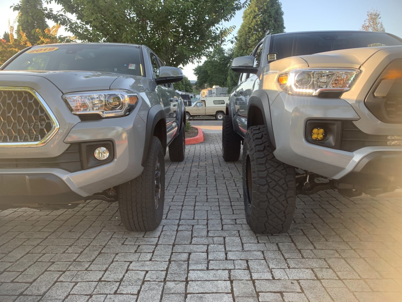 Tacoma_ray17x9_poke2.jpg