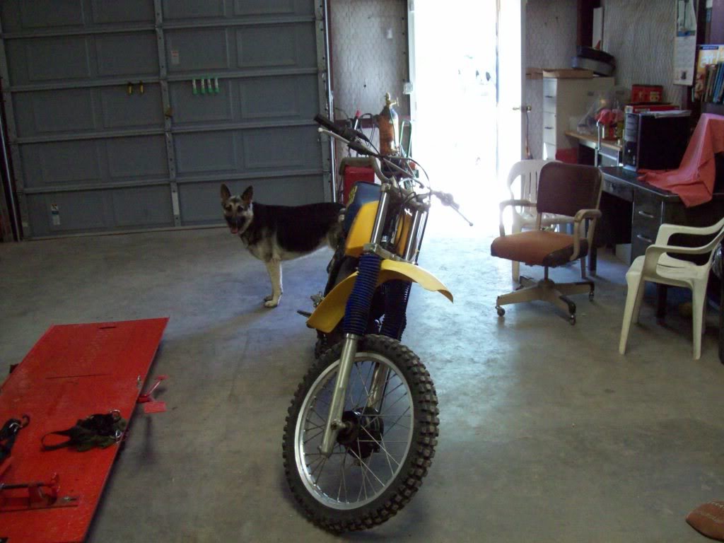 tacomacampershell006_a591305e684e1e1f7534a1cfc5f0a5e8334ef3b2.jpg