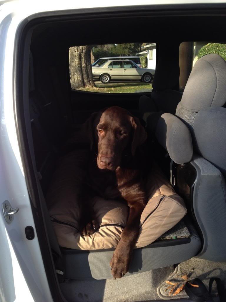 TacomadogbedChuck_zpsf7a0ac93_99f3318e0f0bc0313778d5d7d8584252c5bb4acc.jpg