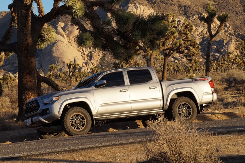 tacomajoshuatree.jpg