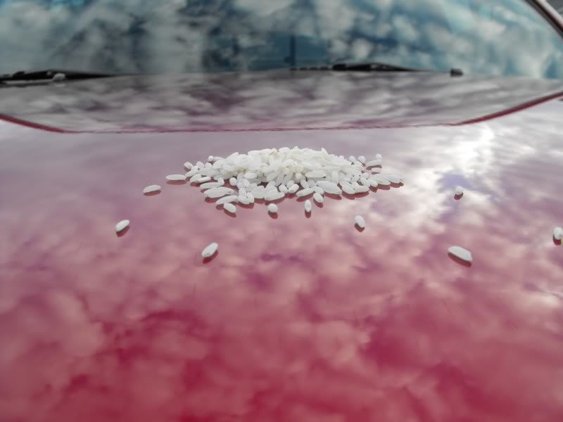 Tacomaricehood_3a803391d35eb4468972b0ad6be838cecf2c745c.jpg
