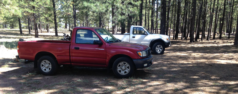 tacomas.jpg