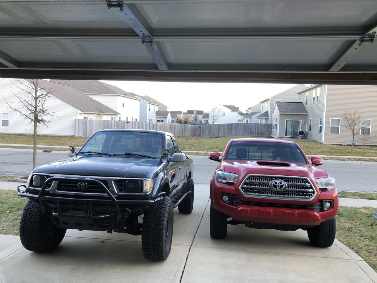 Tacomas.jpg