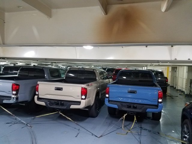 Tacomas.jpg