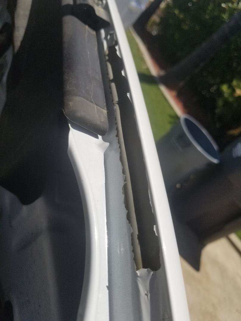 tacomaunderhood.jpg