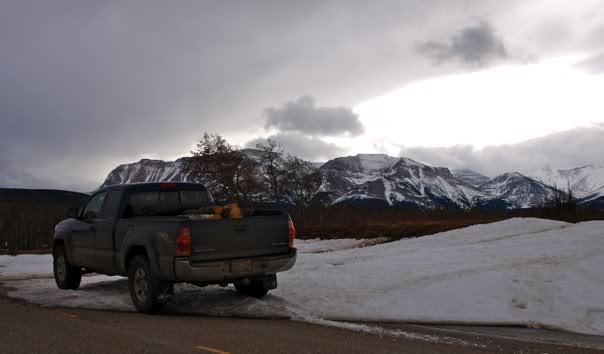 tacommount_578abd02de06b96b14f103e6586ad376037ec3b7.jpg