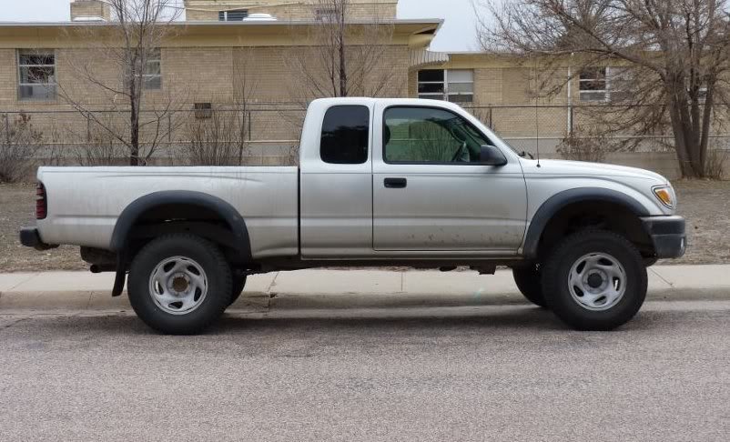 tacoprofile1_67d6f6d5b2c2785d9b46e516299dab7ade0aa540.jpg