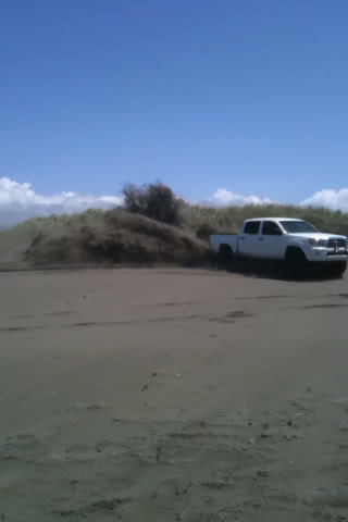 tacoroost_793c6602e063d660f9cd81bb6d32619b60d51933.jpg