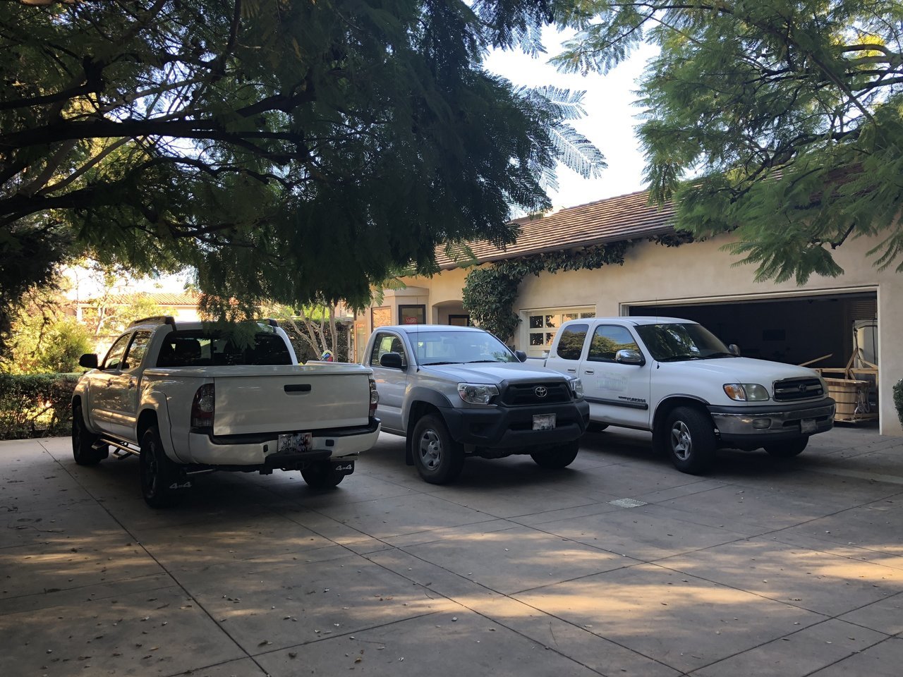 tacos on site(sight).jpg