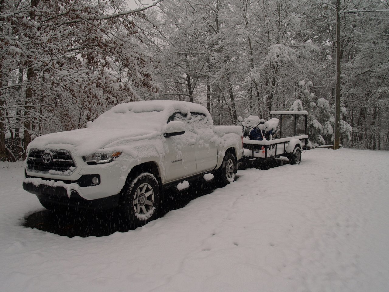 TacoSnow (6B).jpg