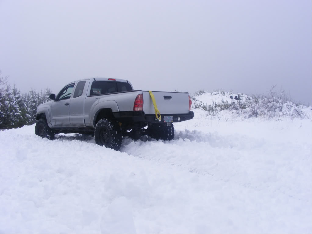 tacosnow2_cc7b6911c9b311b227e2d271298404330db50793.jpg