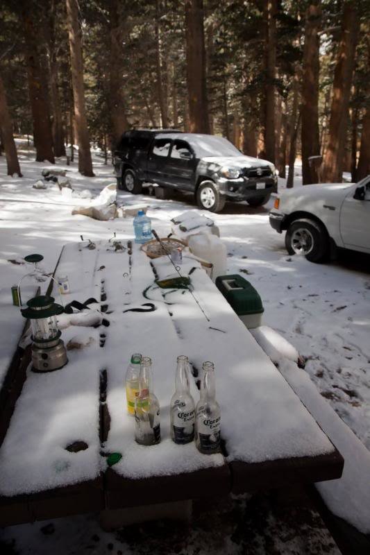 tacosnow_22a1088bc856e93f186d59397f92b4b8c353f056.jpg