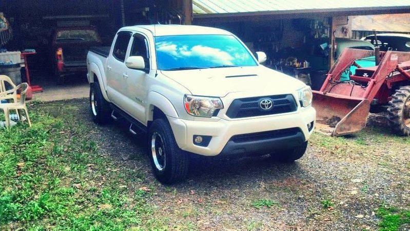 TacoWheels.jpg