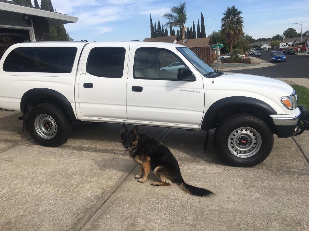 tacowheels5.jpg