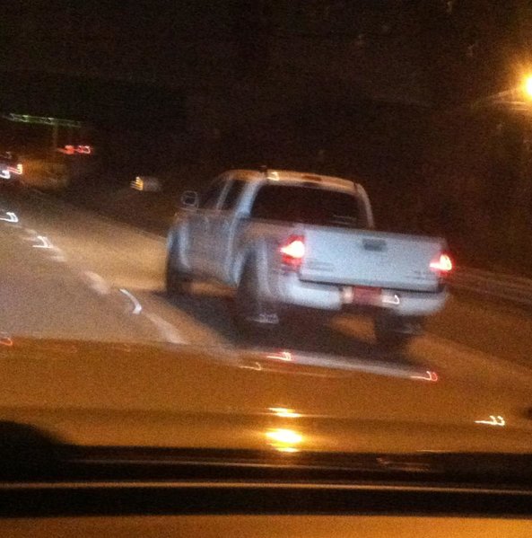 tacoworldsighting.jpg