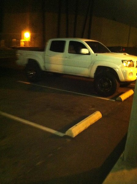 tacoworldsighting22.jpg