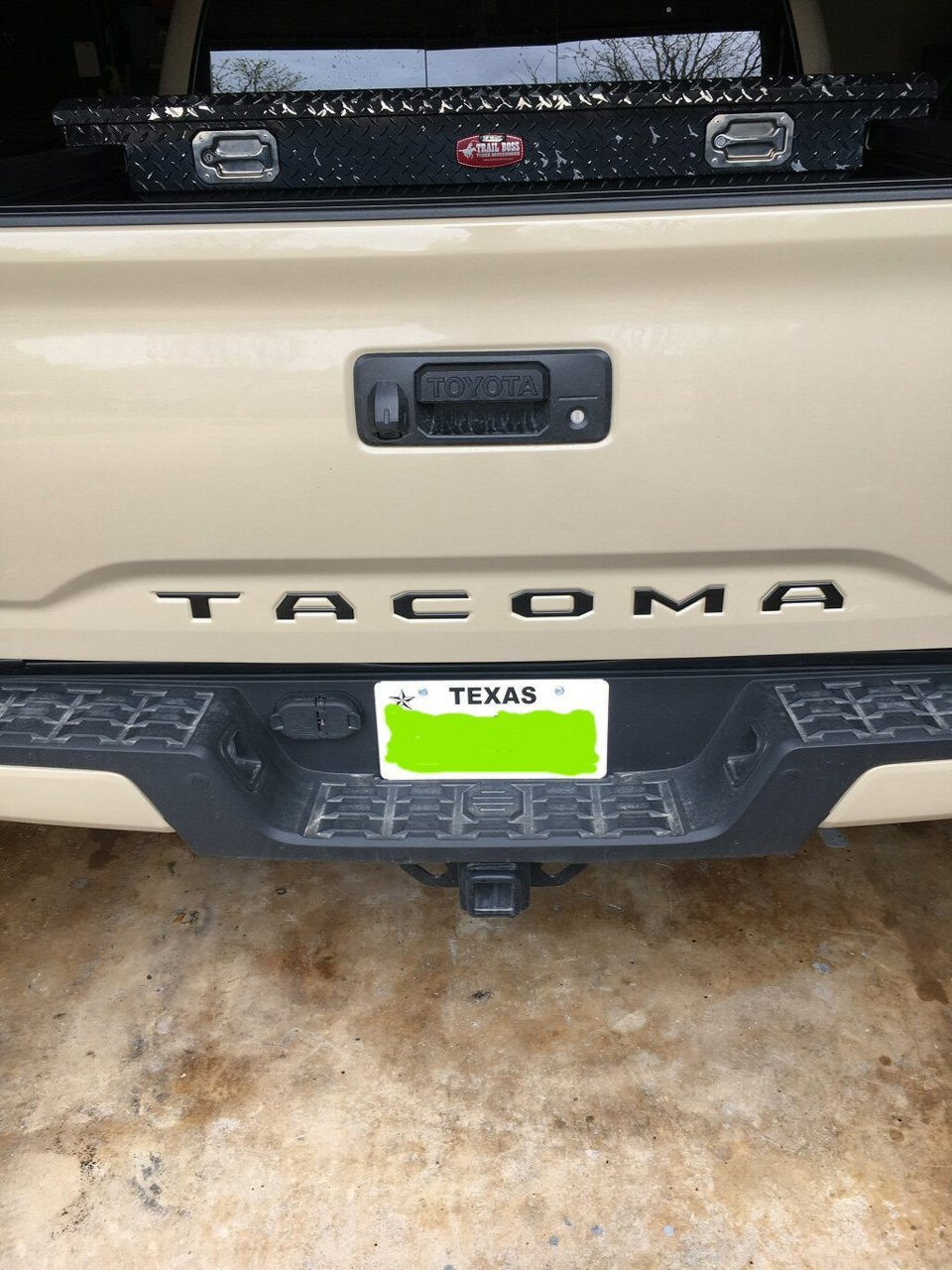 Tail-badge_2.jpg