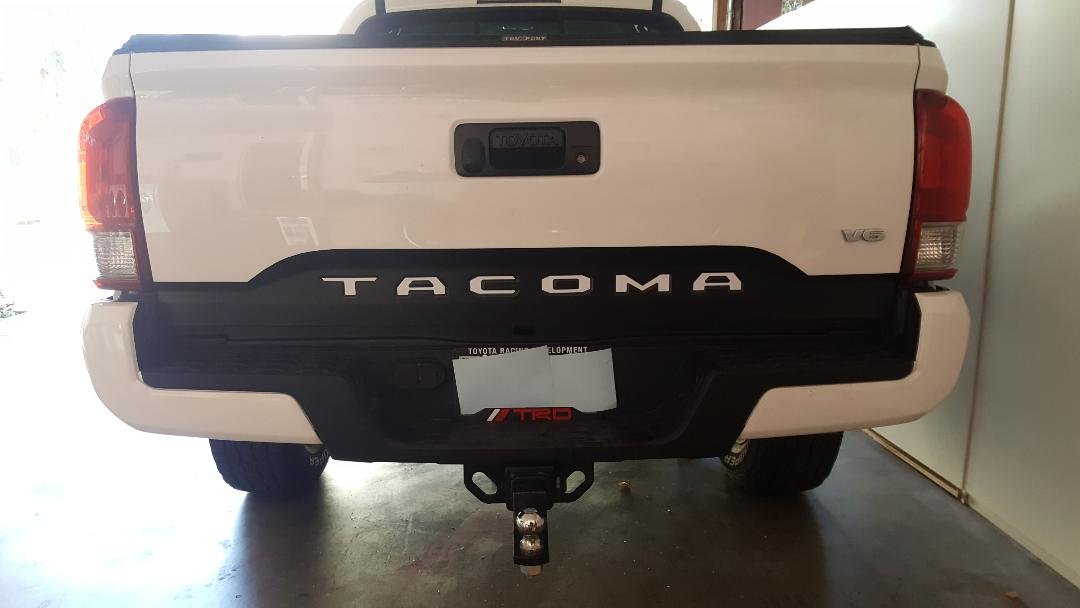 tail.jpg