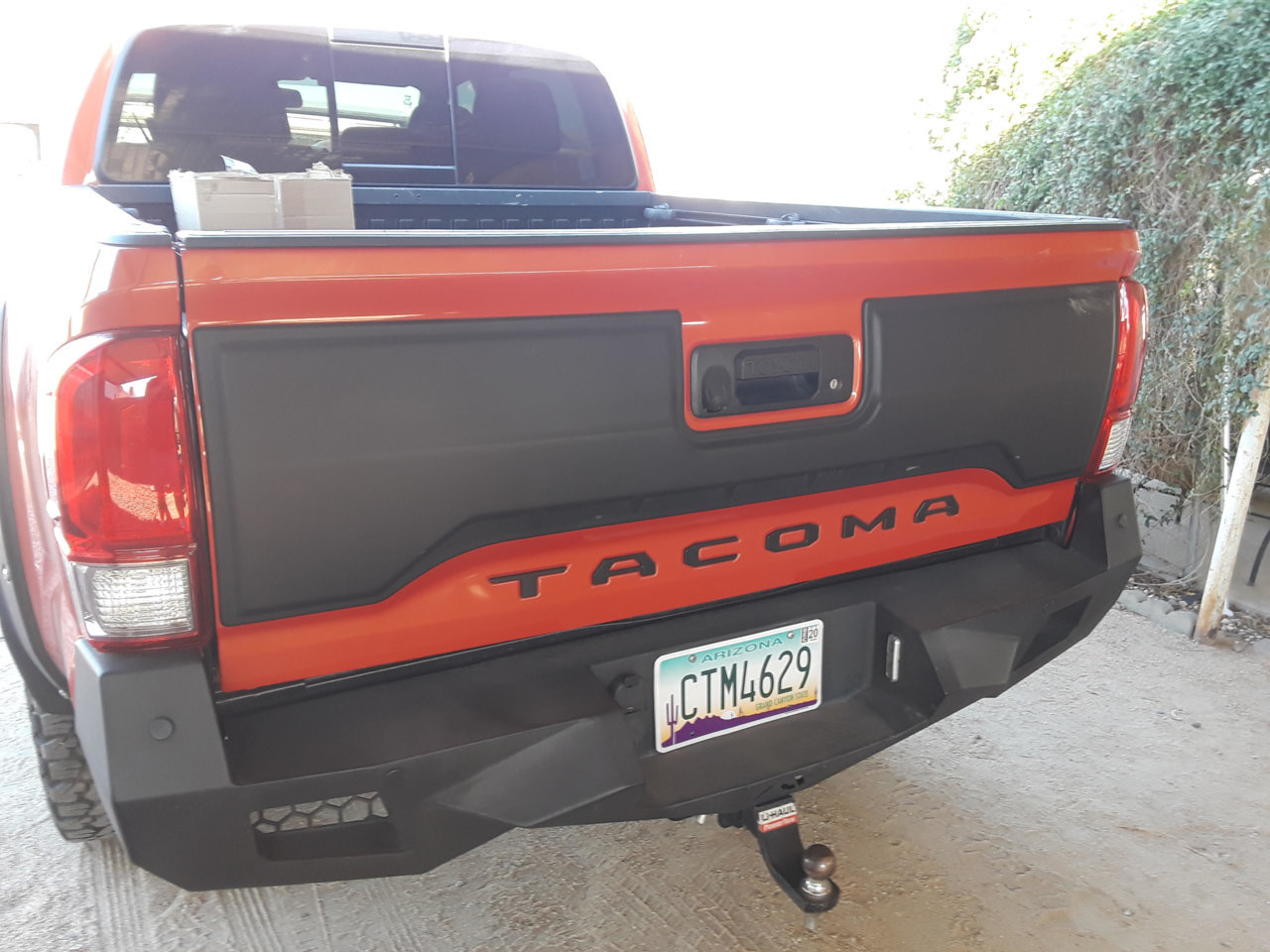 tail.jpg