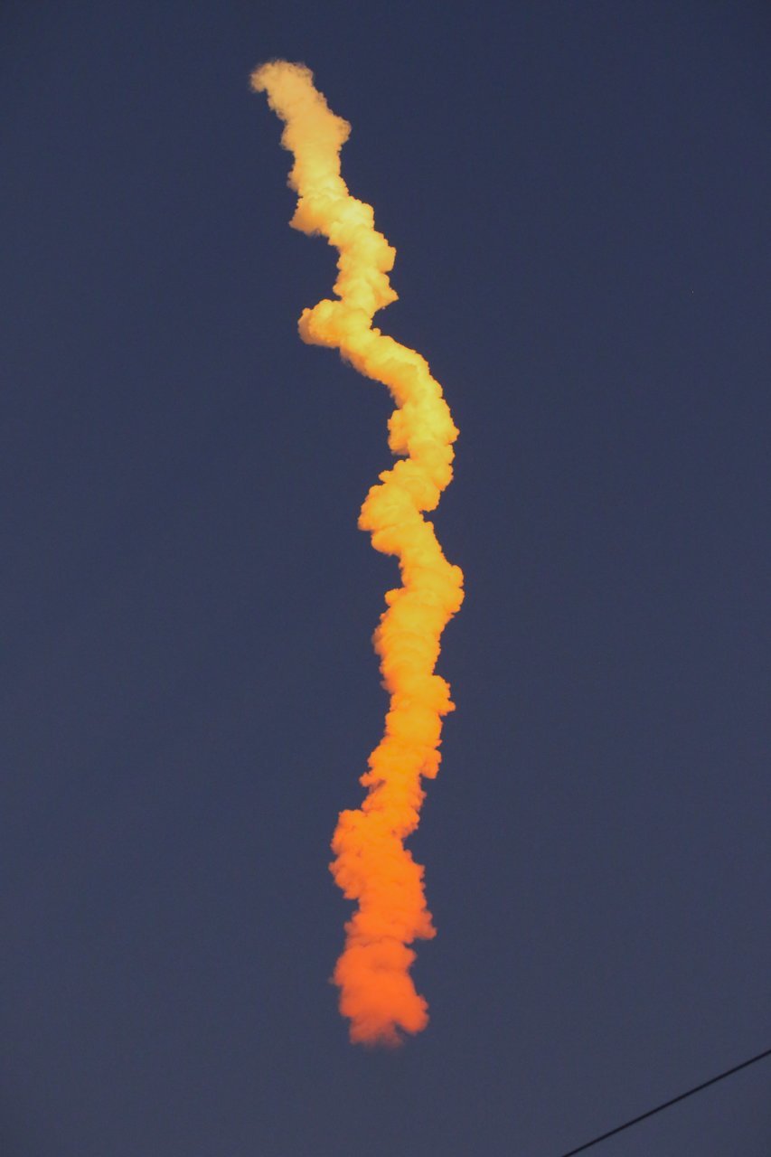 Tail.jpg