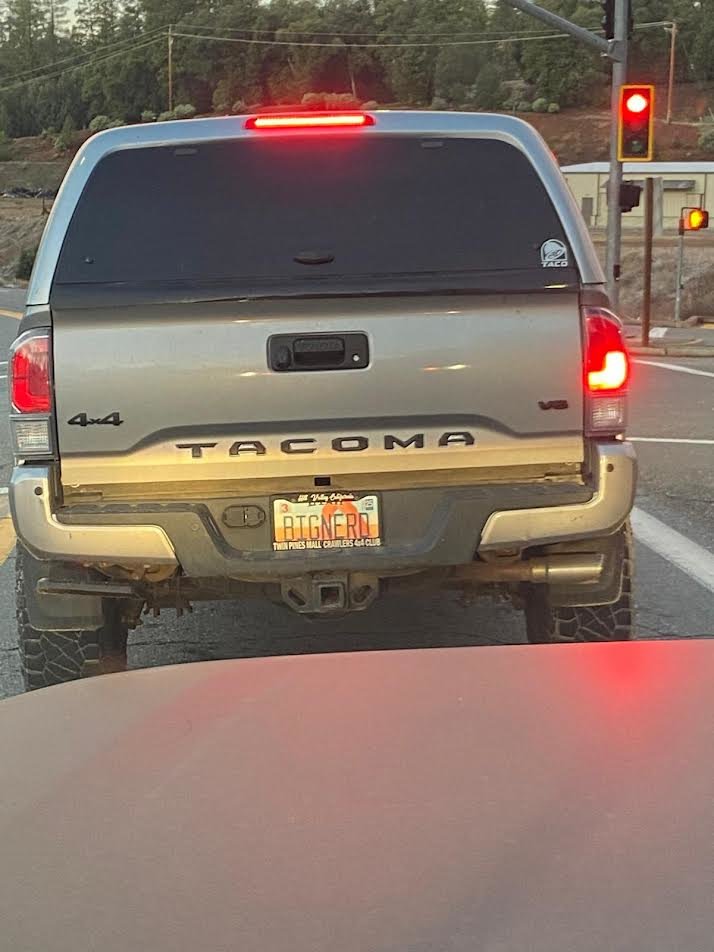 tail.jpg