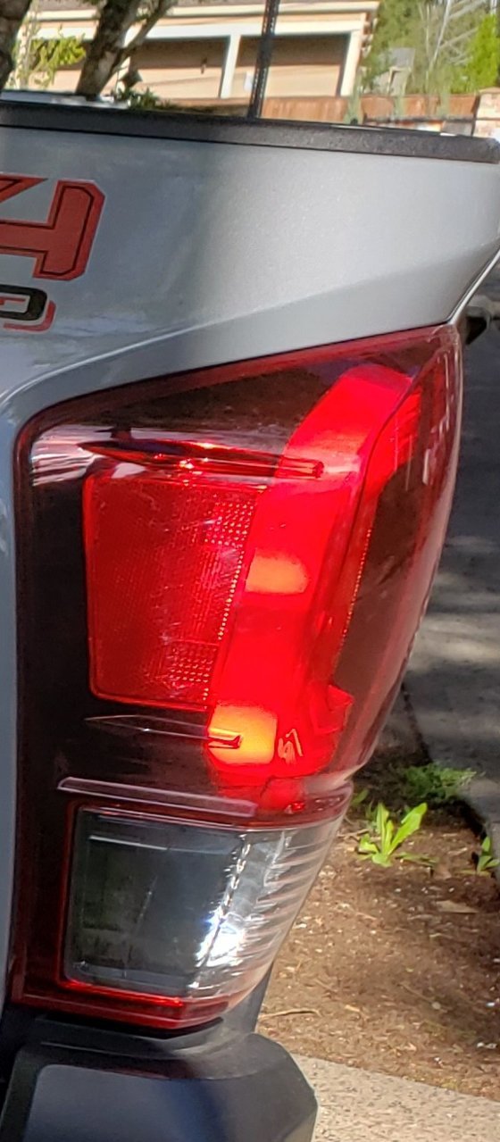 tail2.jpg