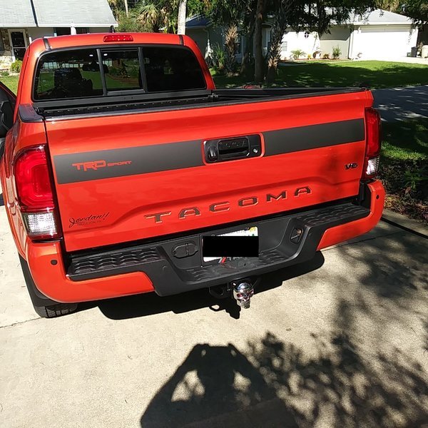 tailgate graphic blacked out plate.jpg