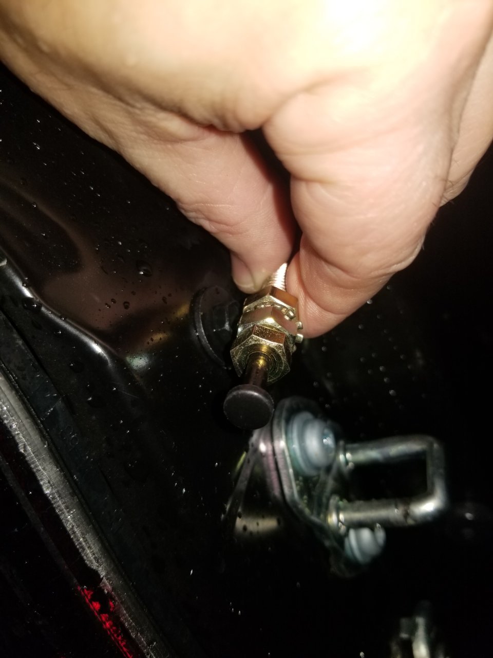 tailgate switch.jpg