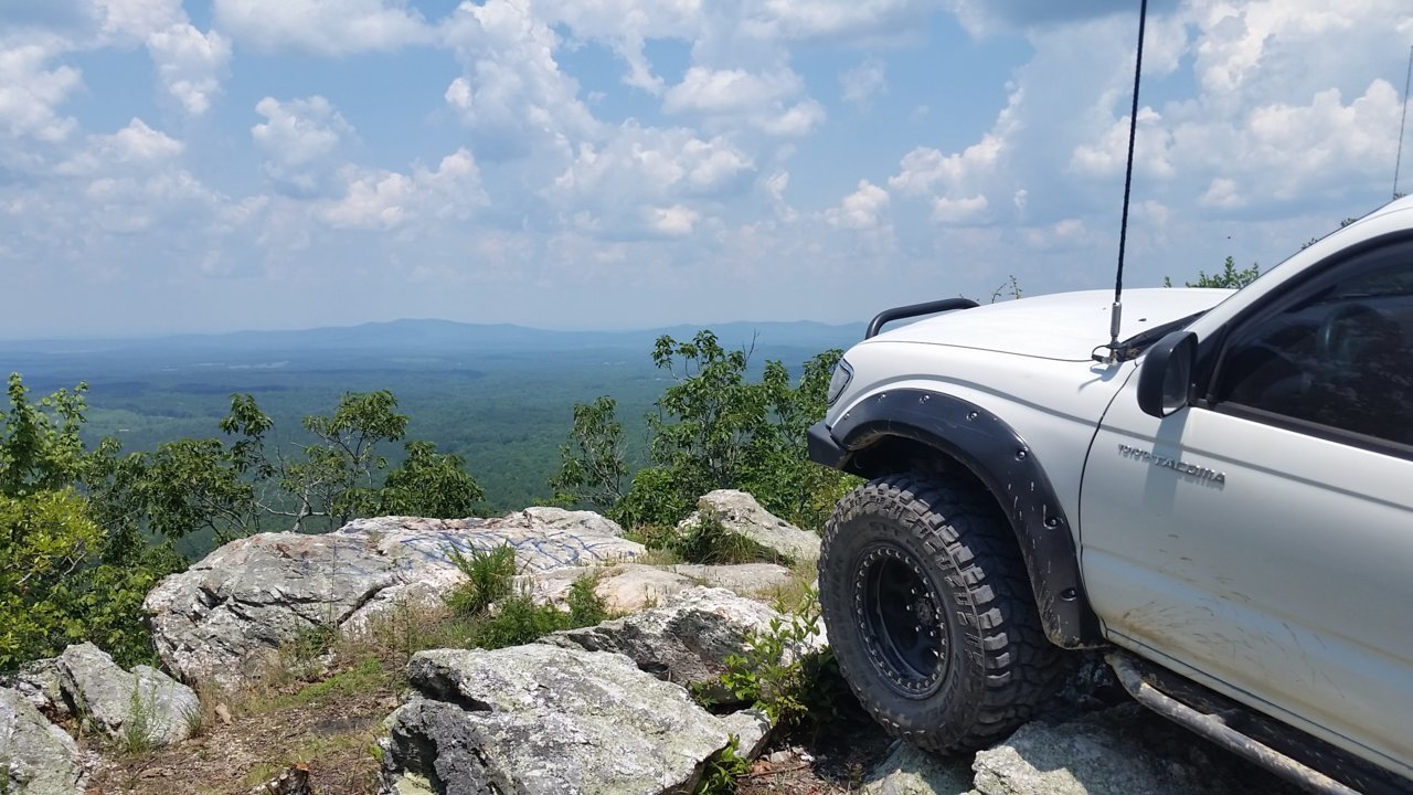 Talladega National Forest.jpg