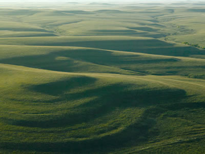 tallgrass1.jpg