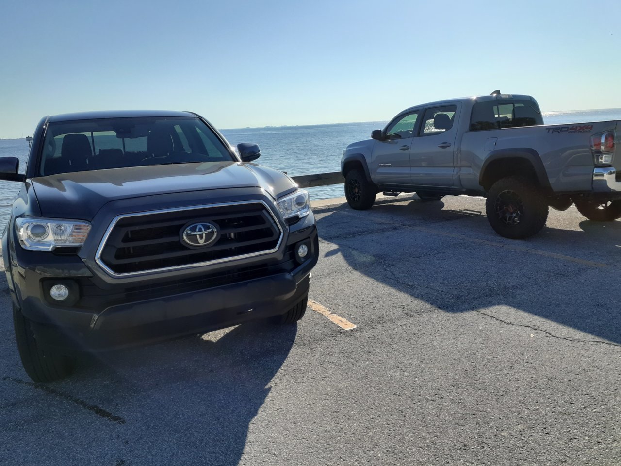 TampaBayParked.jpg