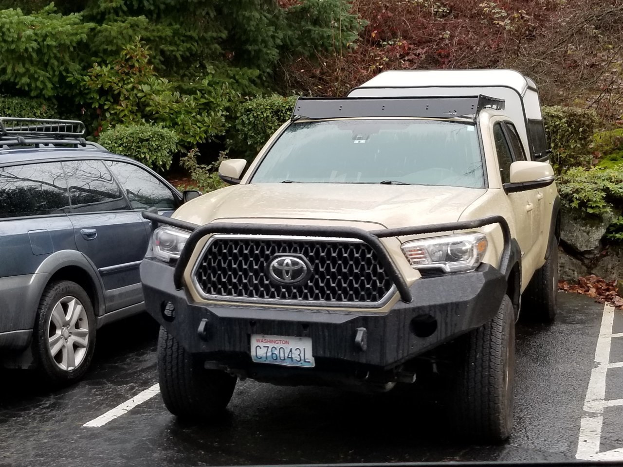 Tan Taco 2.jpg
