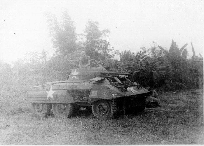tank in jungle.jpg