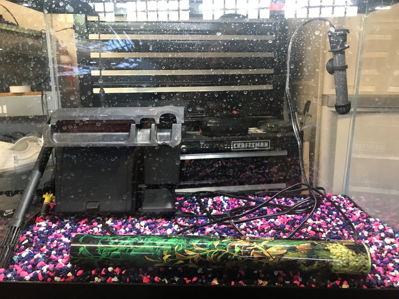 tank2.jpg