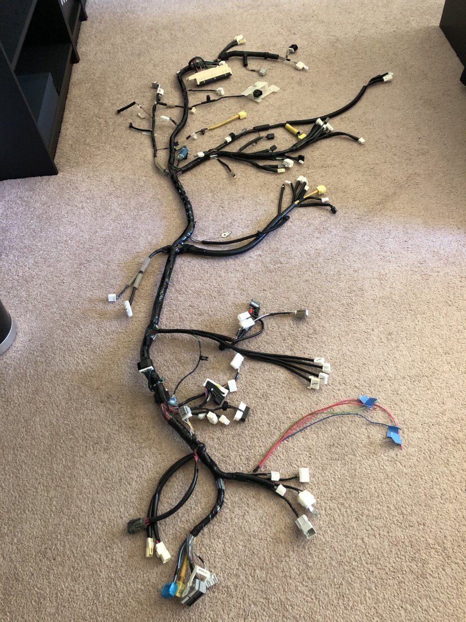 taped harness.jpg