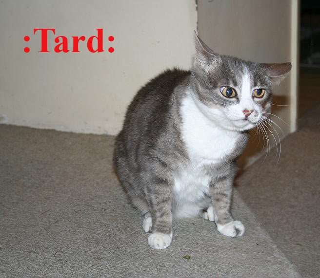 tard_e7fb2fcbb3abc14262b47bb754f8732fdb0647db.jpg
