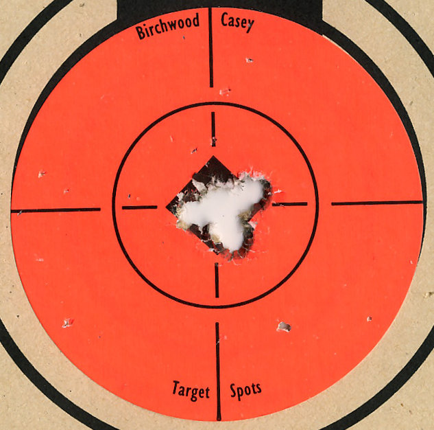 Target_223_Savage_10FP_5_shot_closeup.jpg
