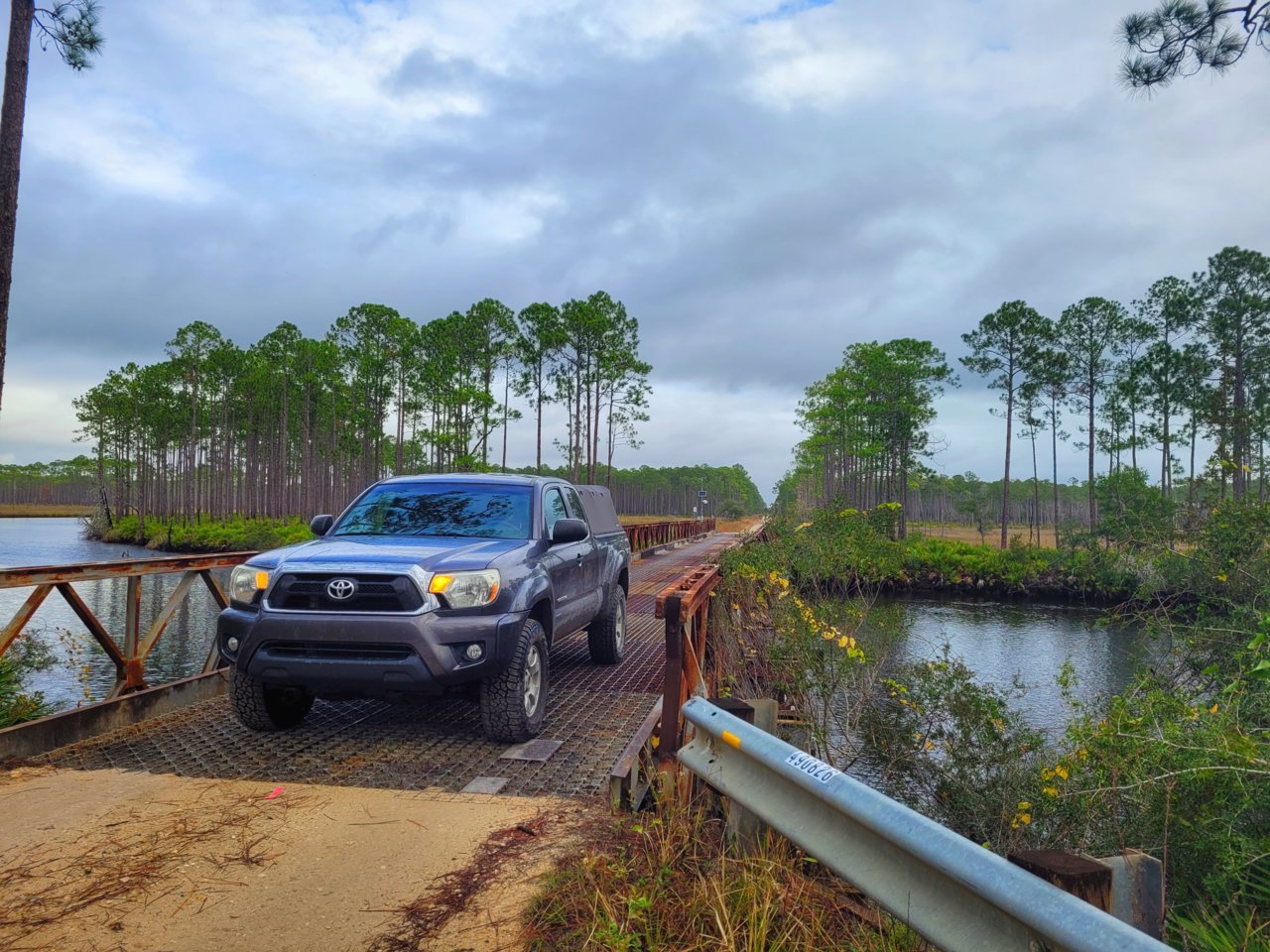 Tate's Hell State Forest.jpg