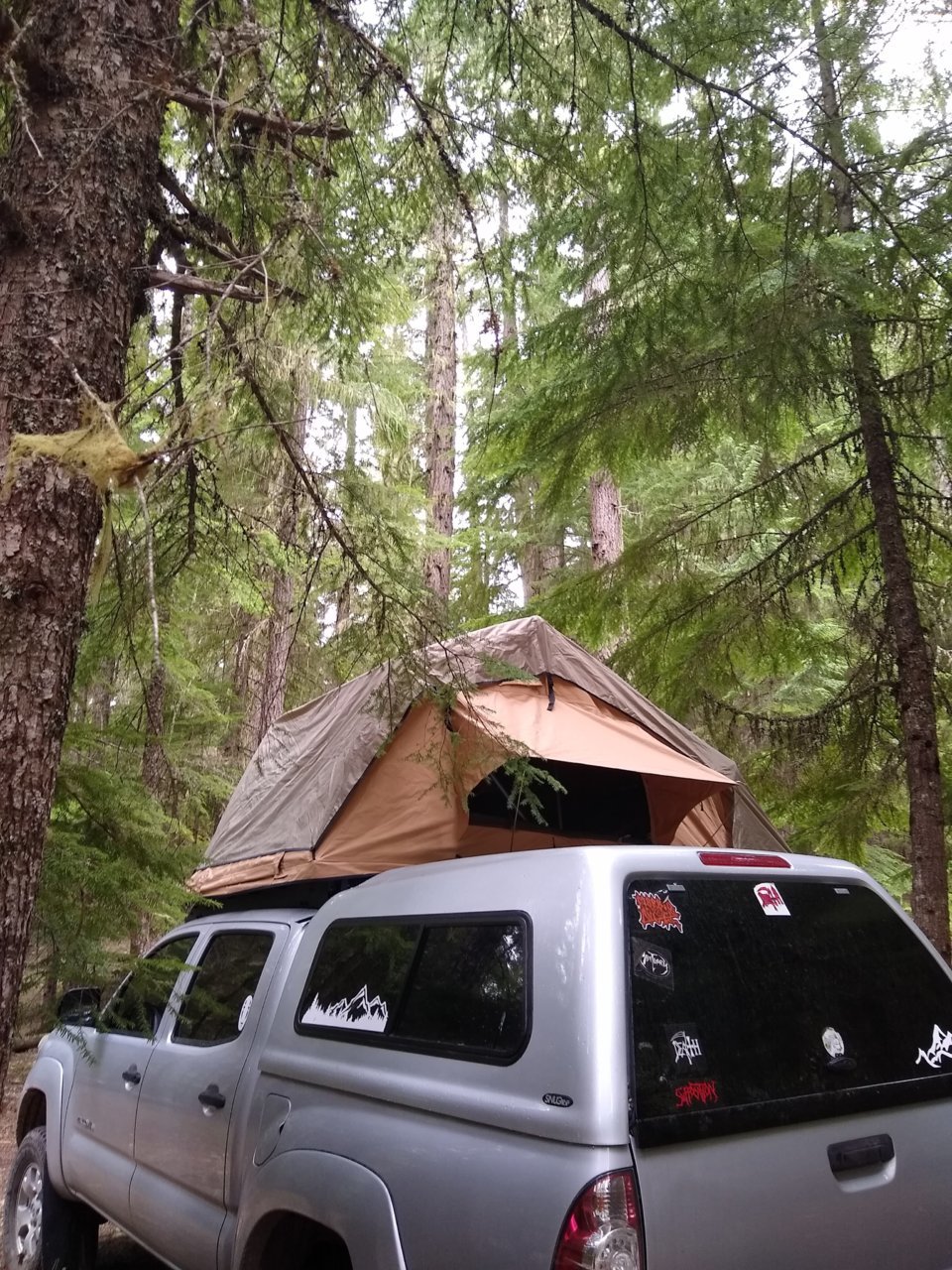 tavi at mt hood.jpg