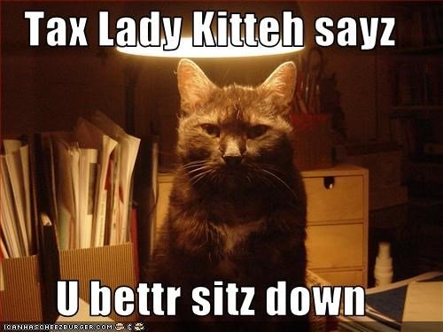 tax-lady-kitteh-sayz-u-bettr-sitz-down.jpg
